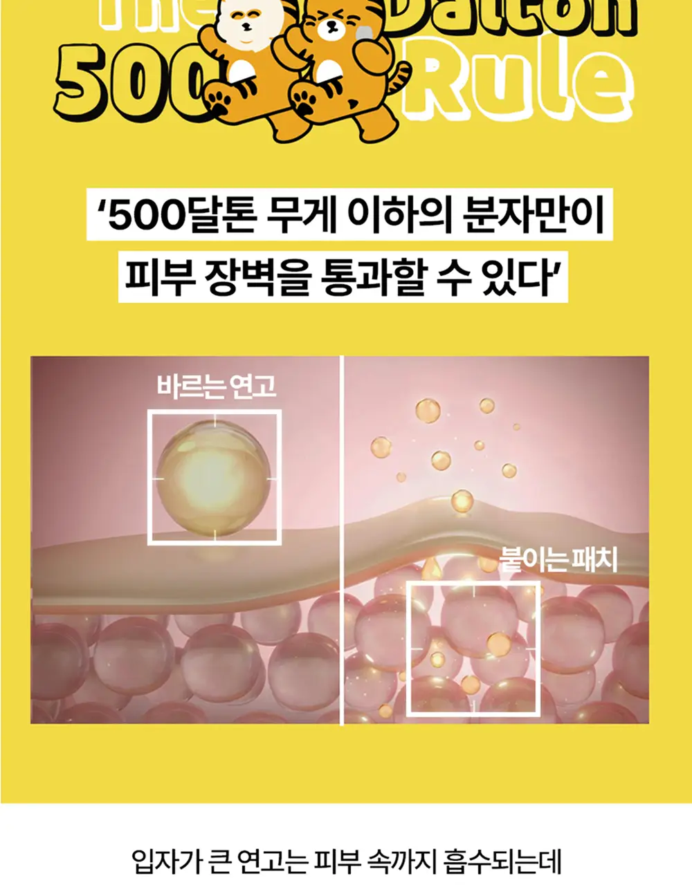 [짜기전/올인원 케어] 스노우투플러스 따꼼 호랑이 패치 3종 택 1 (단품 / 혼합) 상세페이지 27